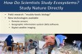 How do scientist examine the working of the natural world?
