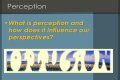 how does perspective influence perception