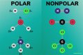 What is the definition of a polar bond?