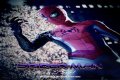 Will there be Spider-Man 4?